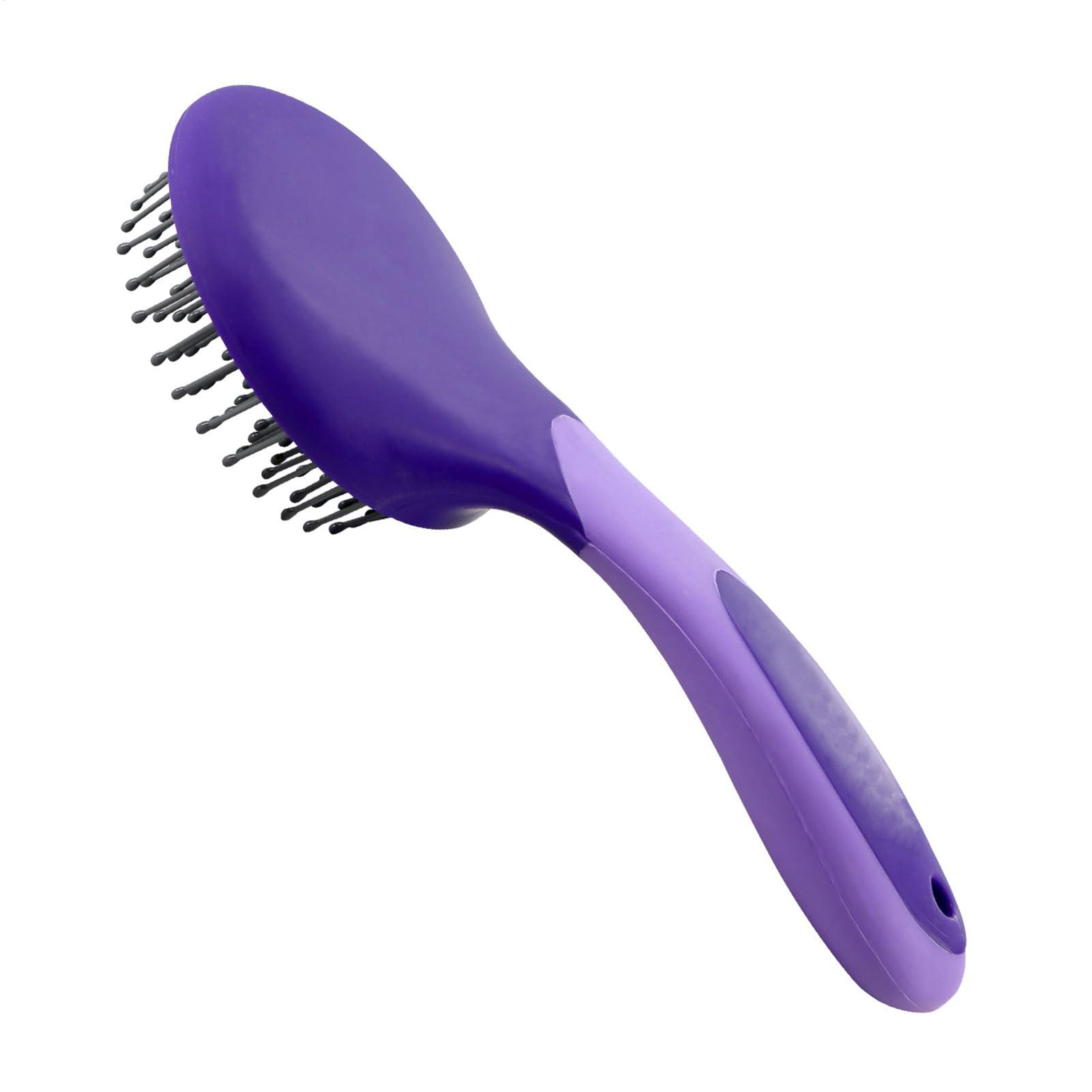 Brosses à chevaux pour le toil - Grooming Kit Horse avis et prix