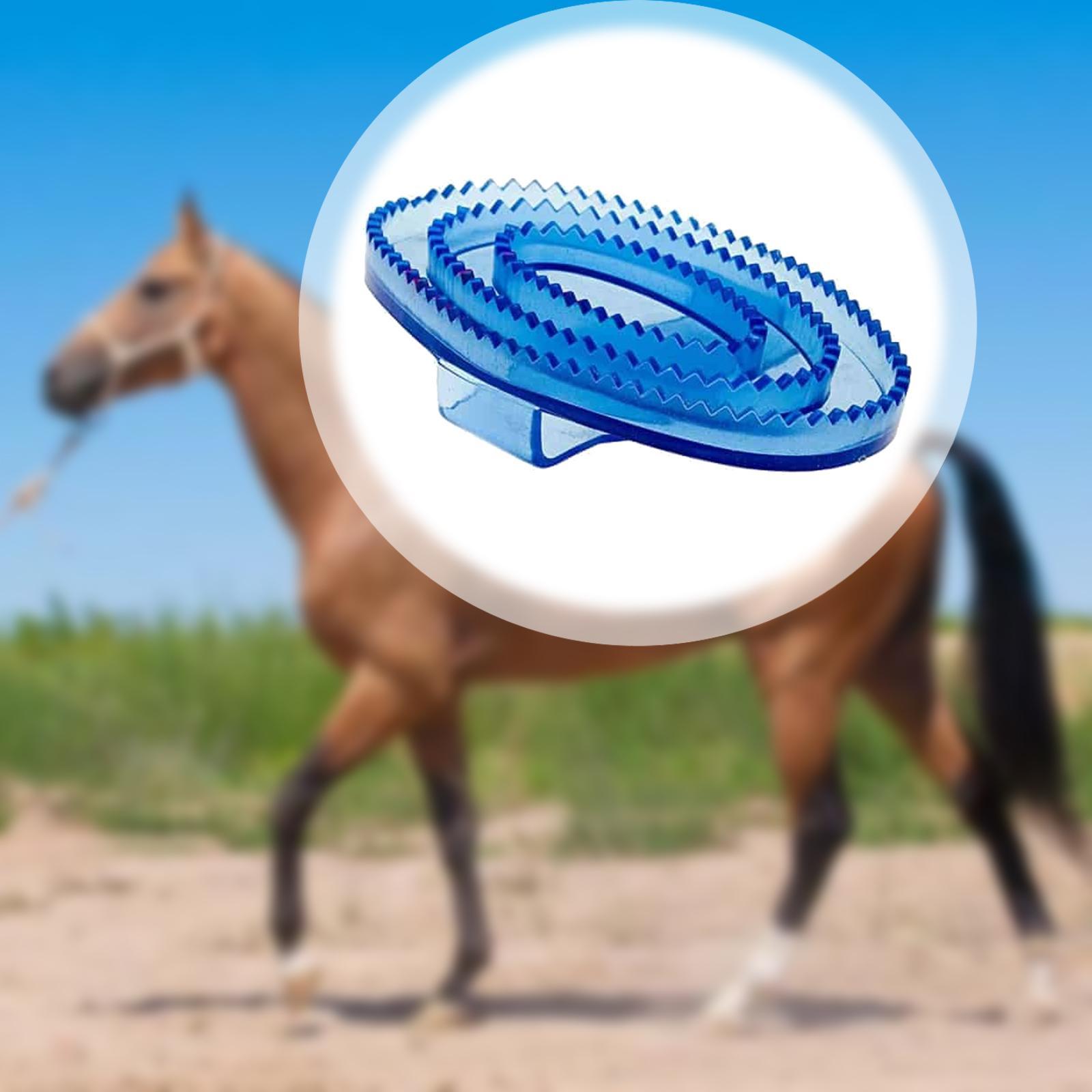 Brosse de massage et de toilet - Grooming Kit Horse avis et prix