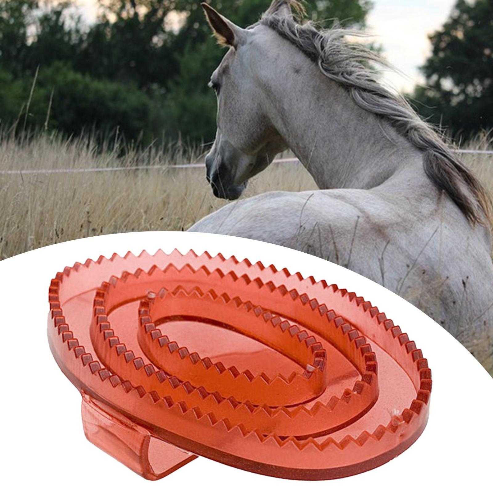 Brosse de massage et de toilet - Grooming Kit Horse avis et prix